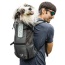 Iron Gate - K9 Sport Sack Trainer - Large (20