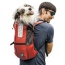 Koral - K9 Sport Sack Trainer - X-Small (10