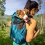 Harbor Blue - K9 Sport Sack Trainer - X-Small (10