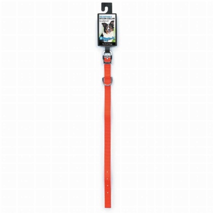 Neon Orange - DGR 1/2in Nylon Collar 14in Neon Org - 14in