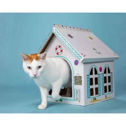 Breezy Beach Cottage Cardboard Cat Playhouse (Pack of 5)