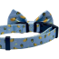 Taco Tuesday - Cutie Ties Dog Bow Tie - One Size