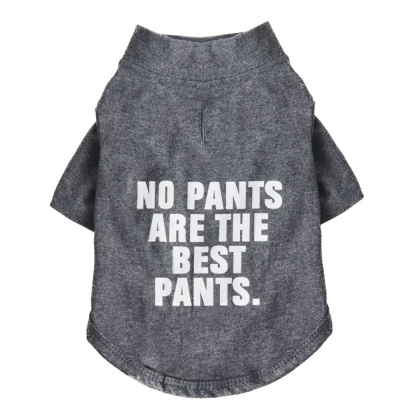 Cool Gray - The Essential T-Shirt - No Pants Are The Best Pants - XX Large