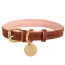 Bella Rose - Dog Collar  - Small