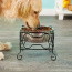 YML Wrought Iron Stand with Single Stainless Steel Feeder Bowl - Large