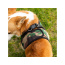 Camo - Mr. Peanut's PupTrek Small Dog/Cat Soft Mesh Step In Harness Vest - XSmall