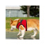 Red - Mr. Peanut's PupTrek Small Dog/Cat Soft Mesh Step In Harness Vest - Small