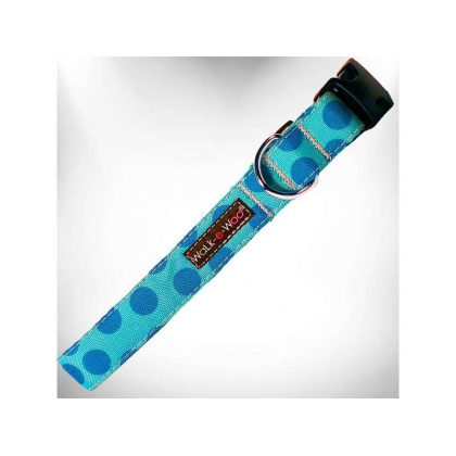 Turquoise - Polka Dot Dog - Monotone Collars - XL 1.5\