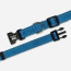 Jazz Blue  - Appalachian Jazz Blue Dog Collar - Small 5/8in wide by 8