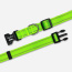 Kiwi Green  - Appalachian Kiwi Green Dog Collar - Small 5/8in wide by 8